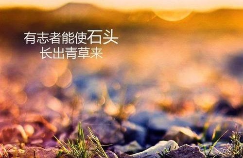 做微商賺不到錢？你是不是犯了這個(gè)錯(cuò)誤(圖1)